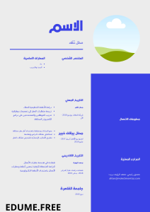 دورات للسيرة الذاتية